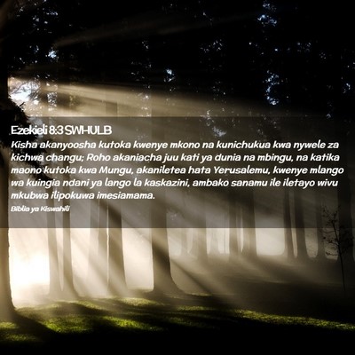 Picture 02 - Ezekieli 8:3 SWHULB - Kisha akanyoosha kutoka kwenye mkono na - Bible Verse Picture