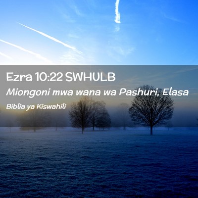 Picture 02 - Ezra 10:22 SWHULB - Miongoni mwa wana wa Pashuri, - Bible Verse Picture