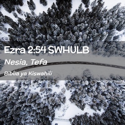 Picture 02 - Ezra 2:54 SWHULB - Nesia, - Bible Verse Picture