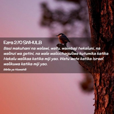 Picture 02 - Ezra 2:70 SWHULB - Basi makuhani na walawi, watu, waimbaji hekaluni, - Bible Verse Picture