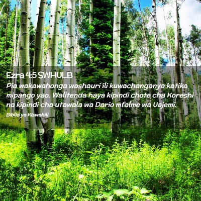 Picture 02 - Ezra 4:5 SWHULB - Pia wakawahonga washauri ili kuwachanganya katika - Bible Verse Picture