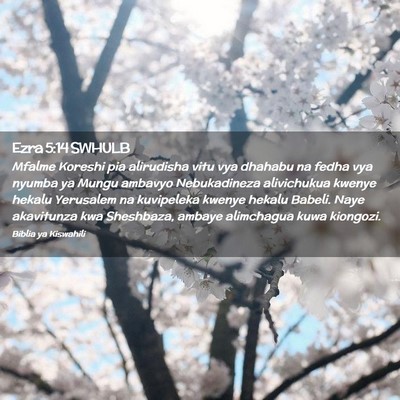Picture 02 - Ezra 5:14 SWHULB - Mfalme Koreshi pia alirudisha vitu vya dhahabu na - Bible Verse Picture