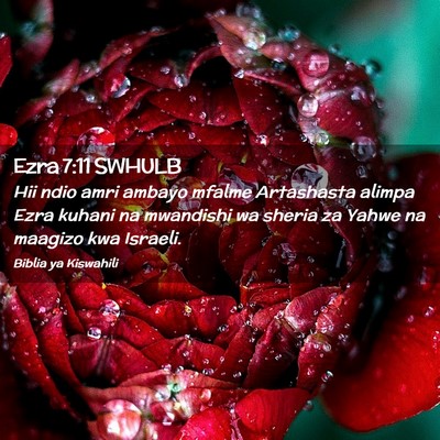 Picture 02 - Ezra 7:11 SWHULB - Hii ndio amri ambayo mfalme Artashasta alimpa - Bible Verse Picture