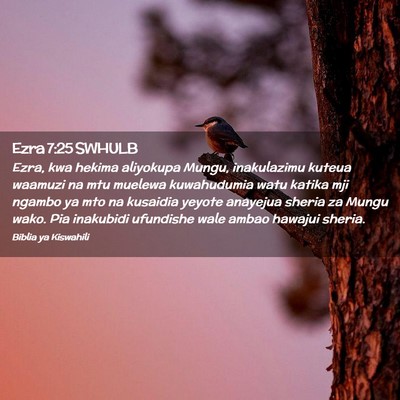 Picture 02 - Ezra 7:25 SWHULB - Ezra, kwa hekima aliyokupa Mungu, inakulazimu - Bible Verse Picture