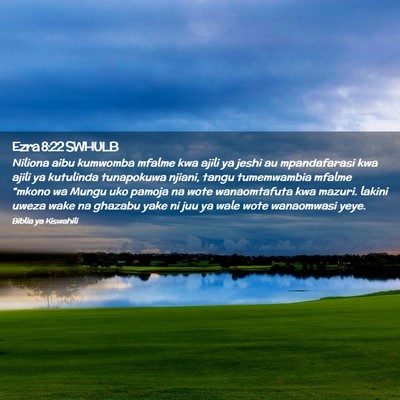 Picture 02 - Ezra 8:22 SWHULB - Niliona aibu kumwomba mfalme kwa ajili ya jeshi - Bible Verse Picture