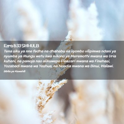 Picture 02 - Ezra 8:33 SWHULB - Tena siku ya nne fedha na dhahabu na vyombo - Bible Verse Picture
