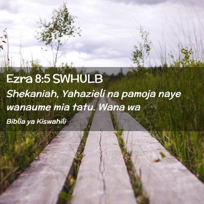 Picture 02 - Ezra 8:5 SWHULB - Shekaniah, Yahazieli na pamoja naye wanaume mia - Bible Verse Picture