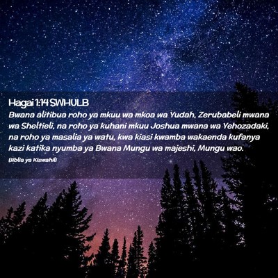 Picture 02 - Hagai 1:14 SWHULB - Bwana alitibua roho ya mkuu wa mkoa wa Yudah, - Bible Verse Picture