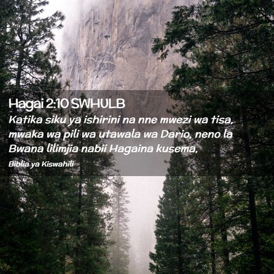 Picture 02 - Hagai 2:10 SWHULB - Katika siku ya ishirini na nne mwezi wa tisa, - Bible Verse Picture