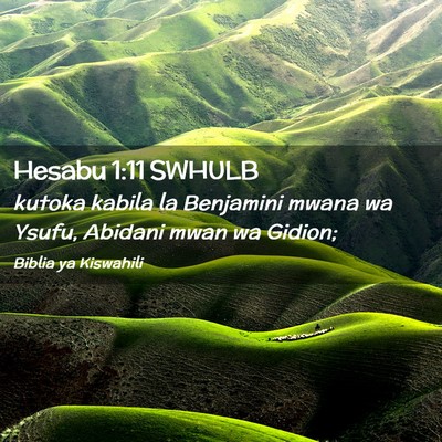 Picture 02 - Hesabu 1:11 SWHULB - kutoka kabila la Benjamini mwana wa Ysufu, - Bible Verse Picture