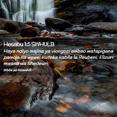 Picture 02 - Hesabu 1:5 SWHULB - Haya ndiyo majina ya viongozi ambao watapigana - Bible Verse Picture