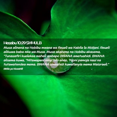 Picture 02 - Hesabu 10:29 SWHULB - Musa alinena na Hobibu mwana wa Reueli wa Kabila - Bible Verse Picture