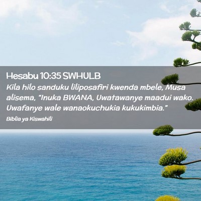 Picture 02 - Hesabu 10:35 SWHULB - Kila hilo sanduku liliposafiri kwenda mbele, Musa - Bible Verse Picture