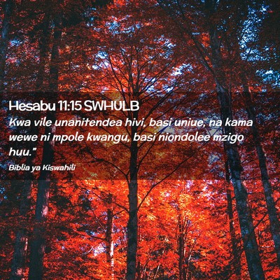 Picture 02 - Hesabu 11:15 SWHULB - Kwa vile unanitendea hivi, basi uniue, na kama - Bible Verse Picture
