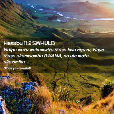 Picture 02 - Hesabu 11:2 SWHULB - Ndipo watu wakamwita Musa kwa nguvu, Naye Musa - Bible Verse Picture