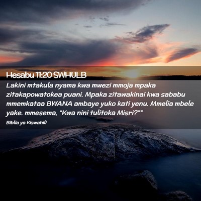 Picture 02 - Hesabu 11:20 SWHULB - Lakini mtakula nyama kwa mwezi mmoja mpaka - Bible Verse Picture
