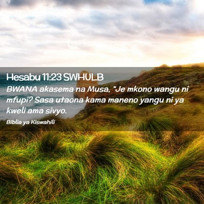 Picture 02 - Hesabu 11:23 SWHULB - BWANA akasema na Musa, “Je mkono wangu ni - Bible Verse Picture