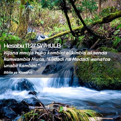 Picture 02 - Hesabu 11:27 SWHULB - Kijana mmoja huko kambini alikimbia akaenda - Bible Verse Picture