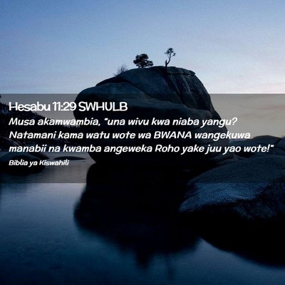 Picture 02 - Hesabu 11:29 SWHULB - Musa akamwambia, “una wivu kwa niaba yangu? - Bible Verse Picture
