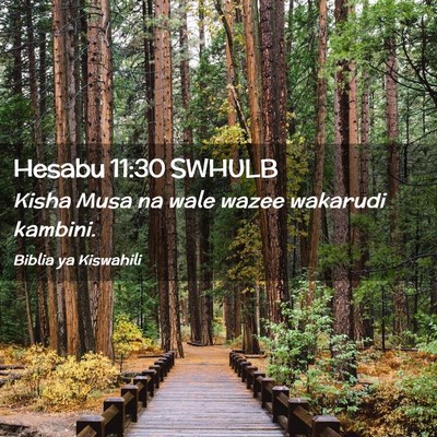 Picture 02 - Hesabu 11:30 SWHULB - Kisha Musa na wale wazee wakarudi - Bible Verse Picture