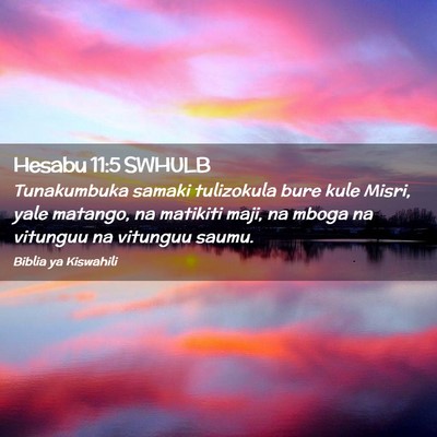 Picture 02 - Hesabu 11:5 SWHULB - Tunakumbuka samaki tulizokula bure kule Misri, - Bible Verse Picture