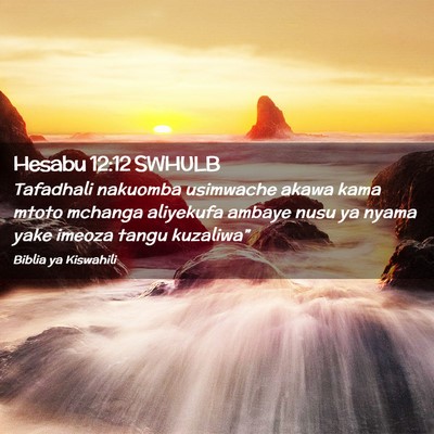 Picture 02 - Hesabu 12:12 SWHULB - Tafadhali nakuomba usimwache akawa kama mtoto - Bible Verse Picture