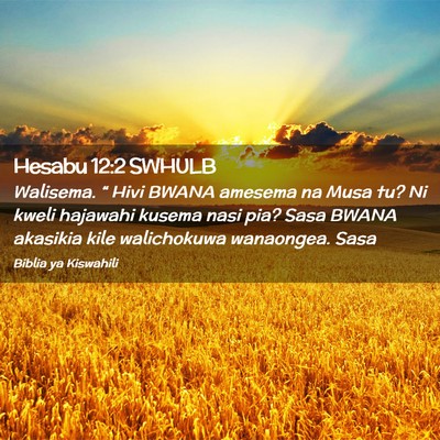 Picture 02 - Hesabu 12:2 SWHULB - Walisema. “ Hivi BWANA amesema na Musa tu? Ni - Bible Verse Picture