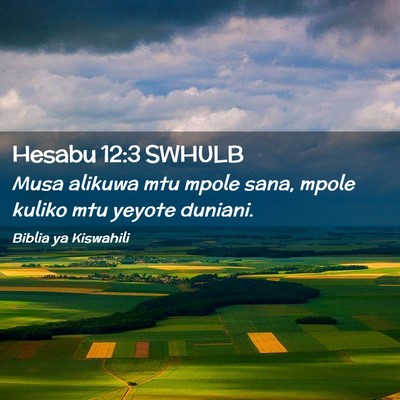 Picture 02 - Hesabu 12:3 SWHULB - Musa alikuwa mtu mpole sana, mpole kuliko mtu - Bible Verse Picture
