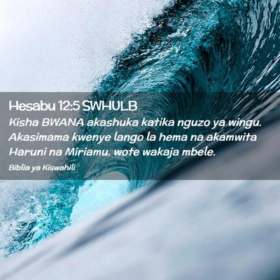 Picture 02 - Hesabu 12:5 SWHULB - Kisha BWANA akashuka katika nguzo ya wingu. - Bible Verse Picture