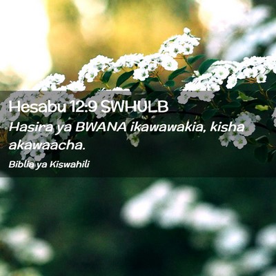 Picture 02 - Hesabu 12:9 SWHULB - Hasira ya BWANA ikawawakia, kisha - Bible Verse Picture