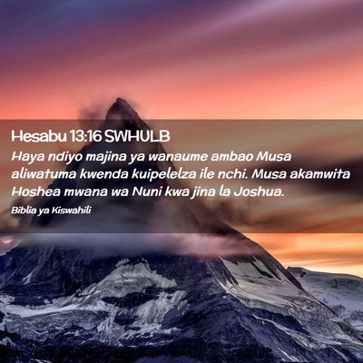 Picture 02 - Hesabu 13:16 SWHULB - Haya ndiyo majina ya wanaume ambao Musa aliwatuma - Bible Verse Picture