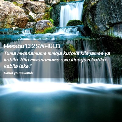 Picture 02 - Hesabu 13:2 SWHULB - Tuma mwanamume mmoja kutoka kila jamaa ya kabila. - Bible Verse Picture