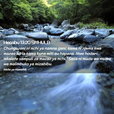 Picture 02 - Hesabu 13:20 SWHULB - Chunguzeni ni nchi ya namna gani, kama ni njema - Bible Verse Picture