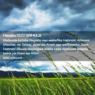 Picture 02 - Hesabu 13:22 SWHULB - Walienda kutoka Negebu nao wakafika Hebroni. - Bible Verse Picture