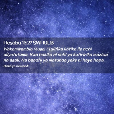 Picture 02 - Hesabu 13:27 SWHULB - Wakamwambia Musa, “Tulifika katika ile nchi - Bible Verse Picture