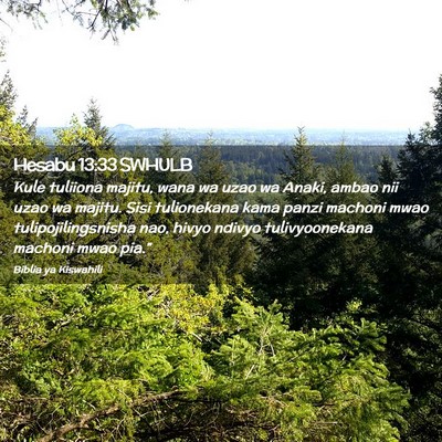 Picture 02 - Hesabu 13:33 SWHULB - Kule tuliiona majitu, wana wa uzao wa Anaki, - Bible Verse Picture