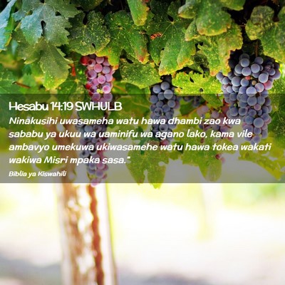 Picture 02 - Hesabu 14:19 SWHULB - Ninakusihi uwasameha watu hawa dhambi zao kwa - Bible Verse Picture