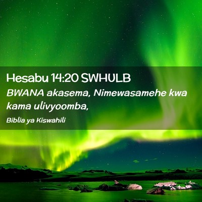 Picture 02 - Hesabu 14:20 SWHULB - BWANA akasema, Nimewasamehe kwa kama - Bible Verse Picture