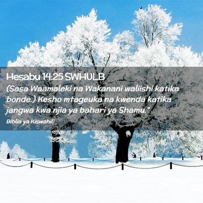 Picture 02 - Hesabu 14:25 SWHULB - (Sasa Waamaleki na Wakanani waliishi katika - Bible Verse Picture
