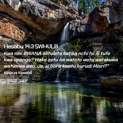 Picture 02 - Hesabu 14:3 SWHULB - Kwa nini BWANA alituleta katika nchi hii ili tufe - Bible Verse Picture