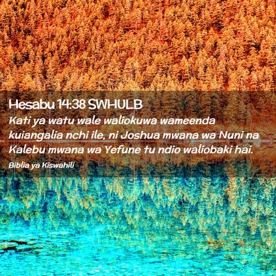 Picture 02 - Hesabu 14:38 SWHULB - Kati ya watu wale waliokuwa wameenda kuiangalia - Bible Verse Picture