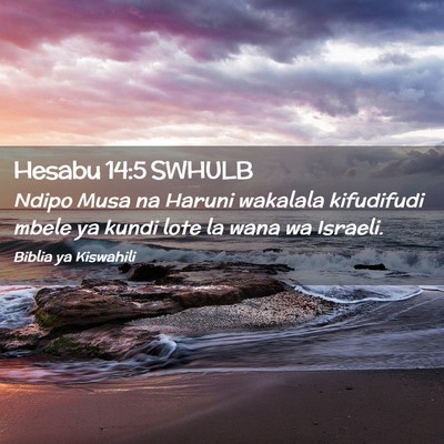 Picture 02 - Hesabu 14:5 SWHULB - Ndipo Musa na Haruni wakalala kifudifudi mbele ya - Bible Verse Picture