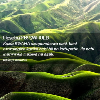 Picture 02 - Hesabu 14:8 SWHULB - Kama BWANA amependezwa nasi, basi atatuingiza - Bible Verse Picture