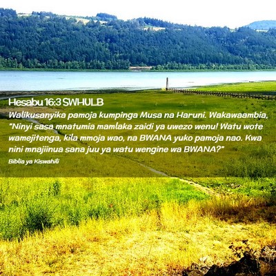 Picture 02 - Hesabu 16:3 SWHULB - Walikusanyika pamoja kumpinga Musa na Haruni. - Bible Verse Picture