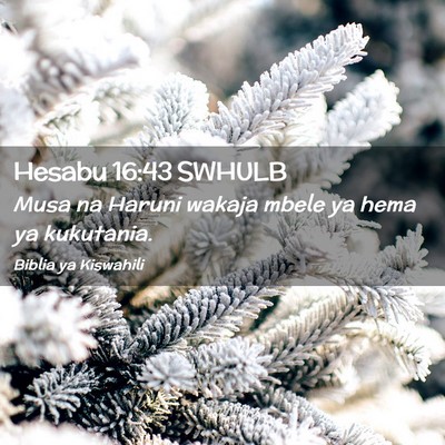 Picture 02 - Hesabu 16:43 SWHULB - Musa na Haruni wakaja mbele ya hema ya - Bible Verse Picture