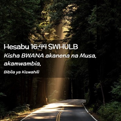 Picture 02 - Hesabu 16:44 SWHULB - Kisha BWANA akanena na Musa, - Bible Verse Picture
