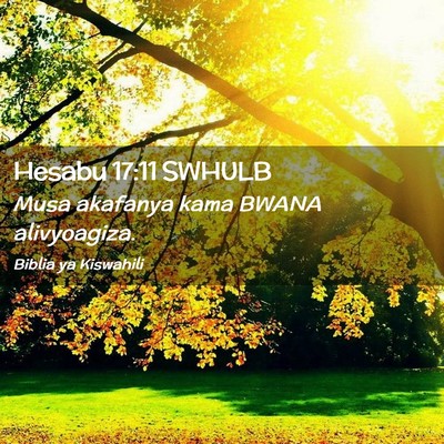 Picture 02 - Hesabu 17:11 SWHULB - Musa akafanya kama BWANA - Bible Verse Picture