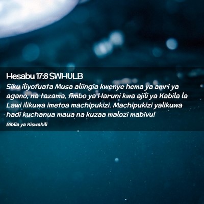 Picture 02 - Hesabu 17:8 SWHULB - Siku iliyofuata Musa aliingia kwenye hema ya amri - Bible Verse Picture