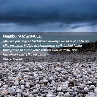 Picture 02 - Hesabu 19:12 SWHULB - Mtu wa jinsi hiyo atajitakasa mwenyewe siku ya - Bible Verse Picture
