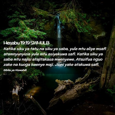 Picture 02 - Hesabu 19:19 SWHULB - Katika siku ya tatu na siku ya saba, yule mtu - Bible Verse Picture